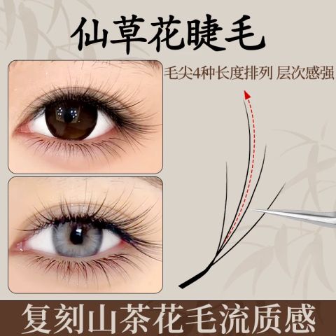 Lông mi ghép kiểu hoa cỏ tiên phong cách Trung Quốc, mềm mại và chân thật, với thiết kế hình cỏ bốn lá bay chéo, mềm mại và tự nhiên, dành riêng cho các thẩm mỹ viện.
